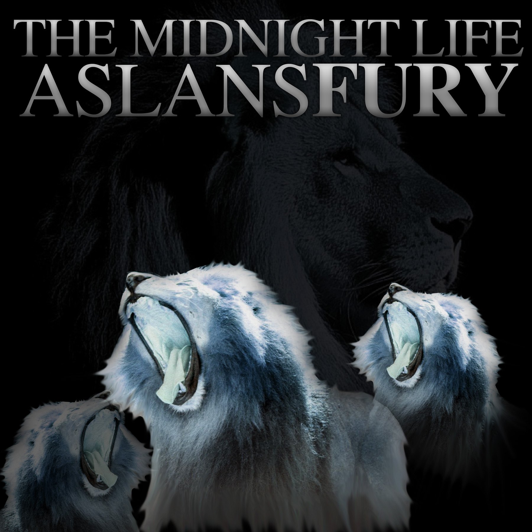 The Midnight Life archive cover